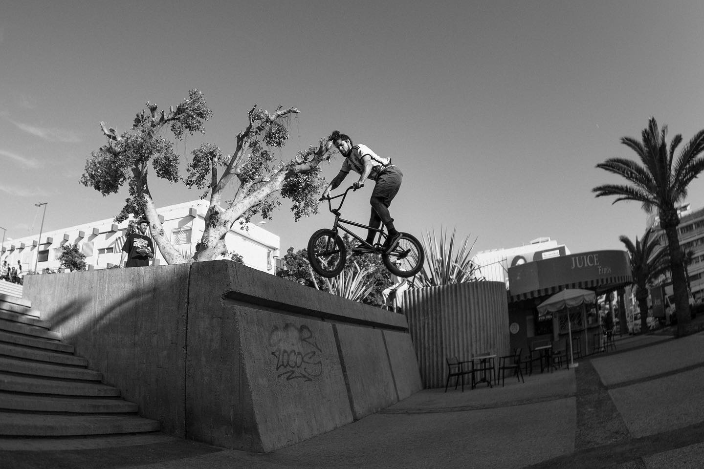 koalsittor_post_10_27_2023_9_31_29-PM3223059785031895192